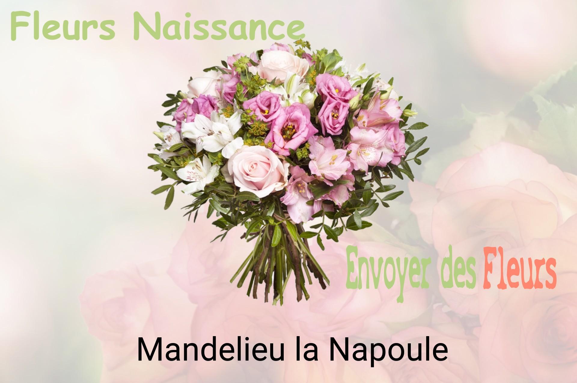 Bouquet de fleurs de naissance livré à Mandelieu-la-Napoule